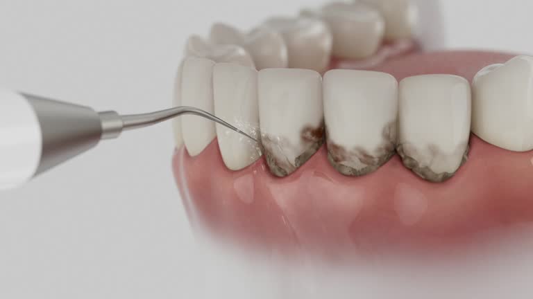 Reliable Dental contractor in Beaufort, NC by Dentist Open Now